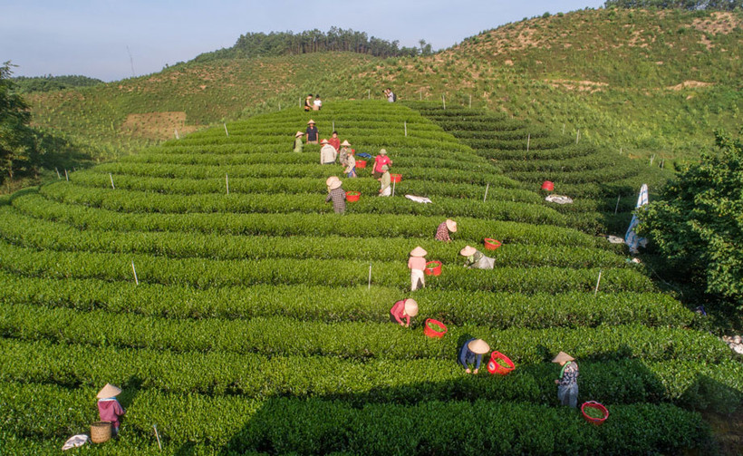 Xã Văn Hán đi sau về trước trong xây dựng nông thôn mới nâng cao