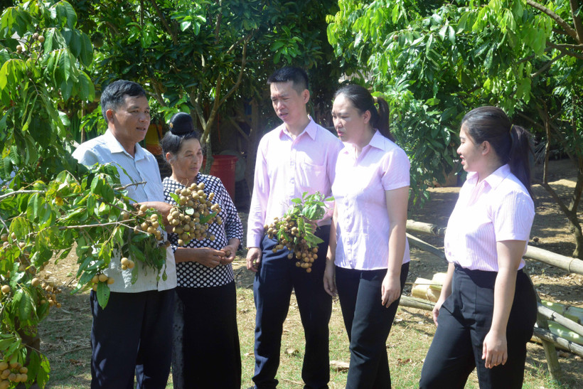 Đưa vốn cho vay chính sách đến với vùng sâu Sơn La
