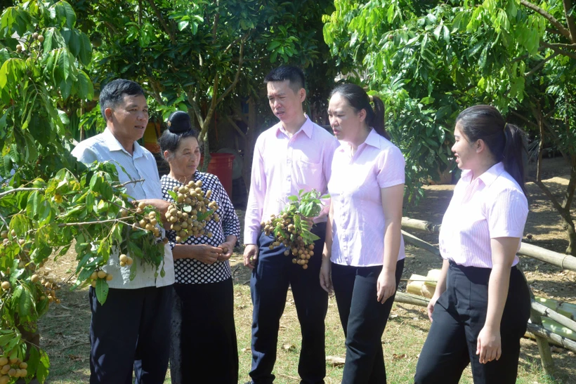 Đưa vốn cho vay chính sách đến với vùng sâu Sơn La