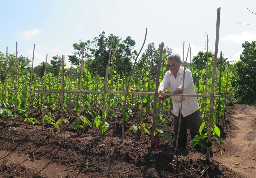 Kon Tum tôn vinh hai cá nhân hiến đất làm đường
