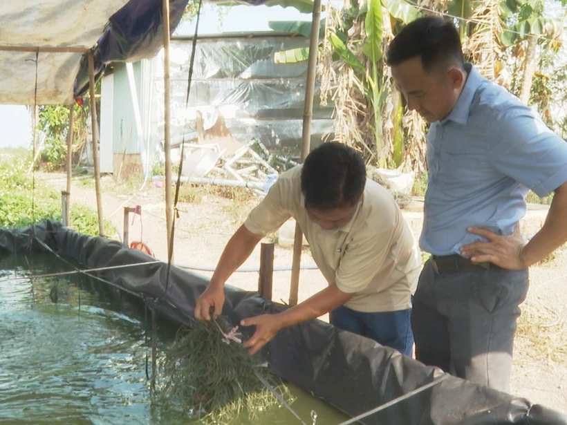 Mô hình khởi nghiệp nuôi cá đặc sản cho thu nhập cao của anh Nguyễn Hoàng Anh Quốc
