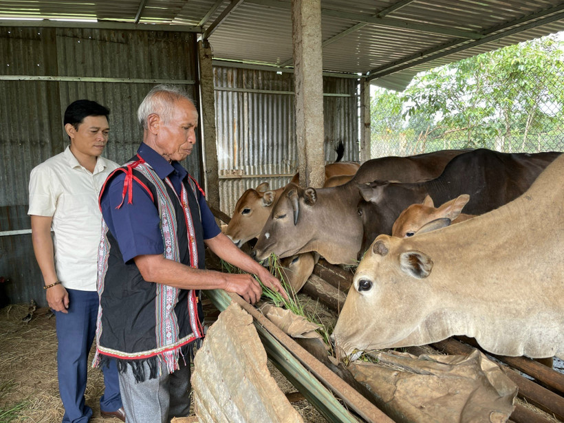 Puih Duch - già làng gương mẫu trong xây dựng nông thôn mới