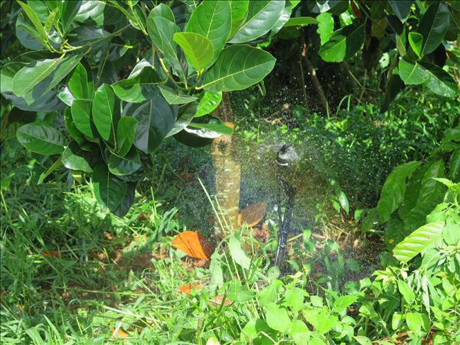 Kon Tum chủ động ứng phó với hạn hán, biến đổi khí hậu