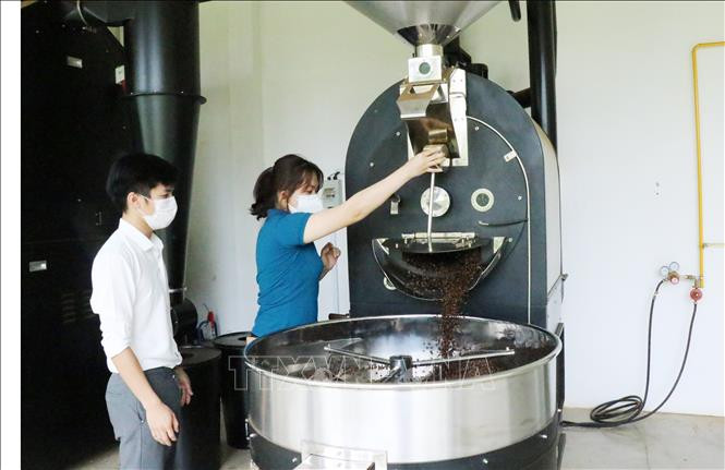 Chi phí sản xuất tăng, nông dân Đắk Lắk thay đổi phương thức canh tác