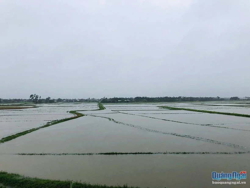 Quảng Ngãi: Mưa lớn trên diện rộng, nhiều xã ngập trong nước lũ