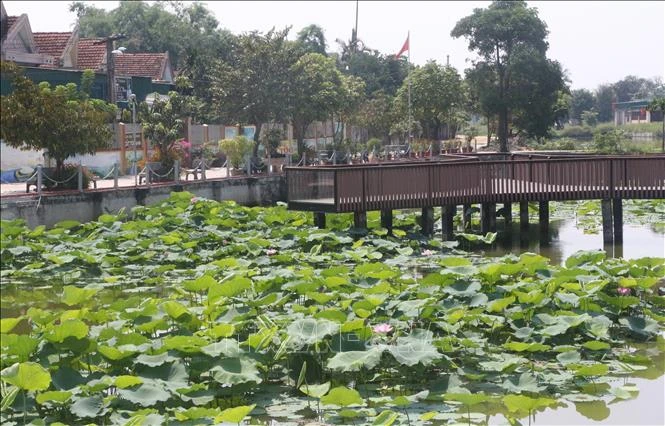 Phát triển cây sen gắn với du lịch ở xã Kim Liên