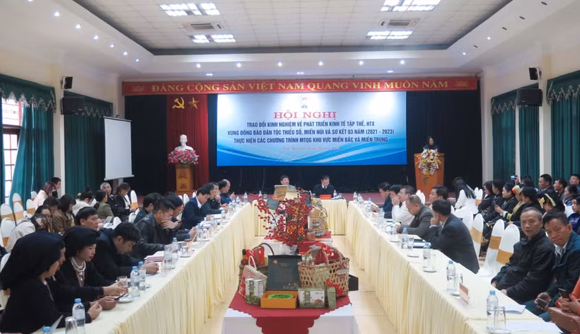 Bàn giải pháp phát triển kinh tế tập thể vùng đồng bào dân tộc thiểu số và miền núi