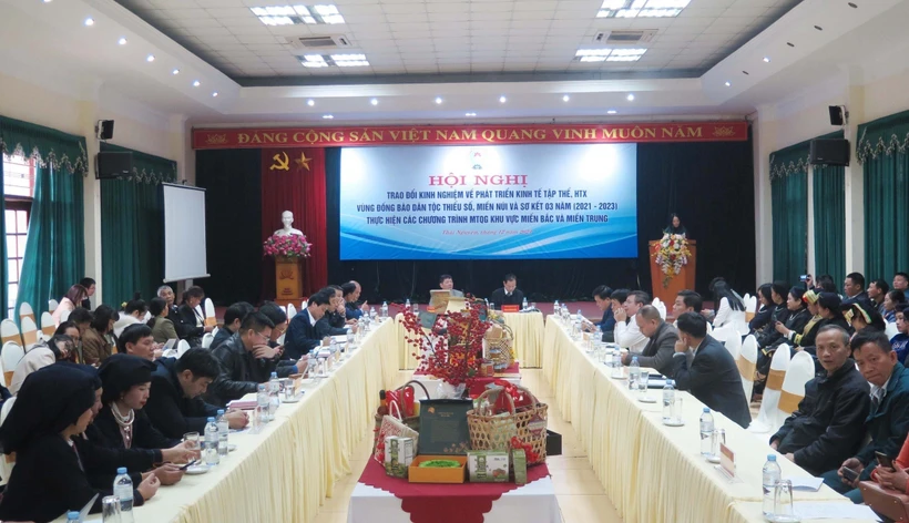 Bàn giải pháp phát triển kinh tế tập thể vùng đồng bào dân tộc thiểu số và miền núi