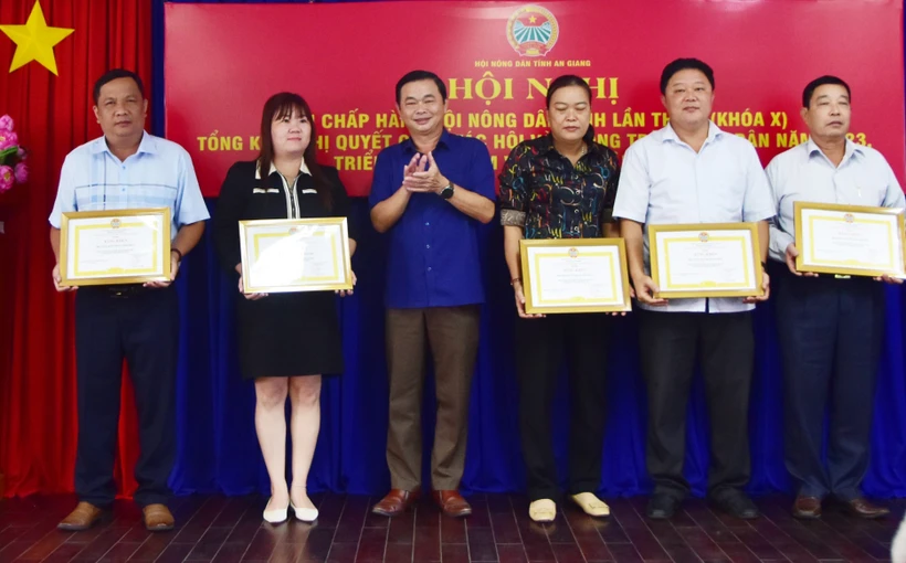 Nông dân sản xuất giỏi là nòng cốt của các hợp tác xã ở An Giang