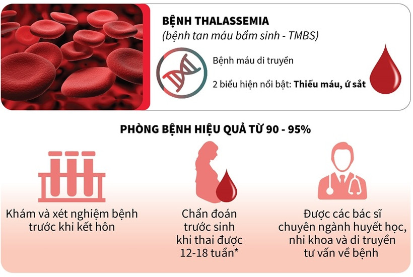 Tăng cường nhận thức về bệnh tan máu bẩm sinh nhằm nâng cao chất lượng dân số
