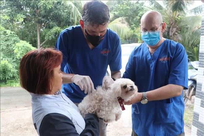 Đồng bộ các giải pháp phòng, chống bệnh dại ở động vật