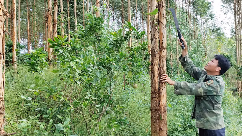 Bắc Giang phát huy vai trò người có uy tín trong đồng bào dân tộc thiểu số