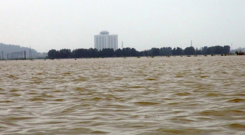 Chủ động ứng phó với vùng áp thấp khả năng mạnh lên thành áp thấp nhiệt đới