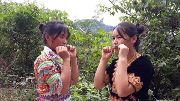 Kèn lá người Mông - họa mi của núi rừng