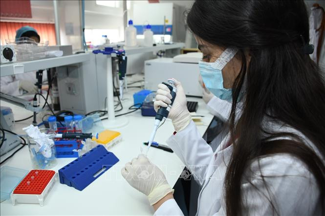 Phát triển thành công kháng thể giúp giảm 80% nguy cơ mắc bệnh COVID-19 
