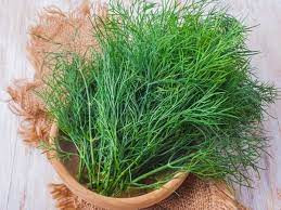 Rau thì là - Thảo dược tuyệt vời cho sức khỏe