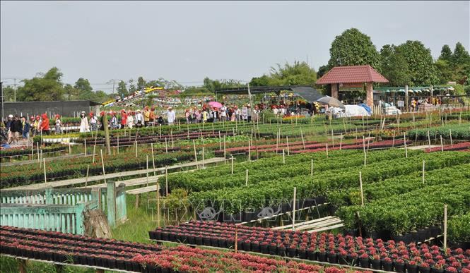 Người Việt Nam đi du lịch Việt Nam (Bài 2)