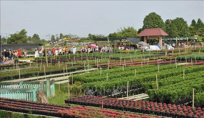 Người Việt Nam đi du lịch Việt Nam (Bài 2)