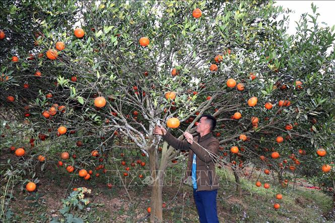 Khởi sắc cuộc sống người dân vùng biên Sốp Cộp