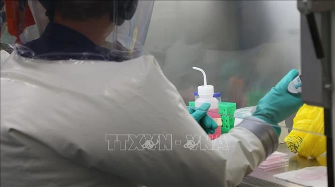 Nghiên cứu mới chứng minh được hiệu quả của thuốc alpha-ketoamide 13b trong điều trị COVID-19
