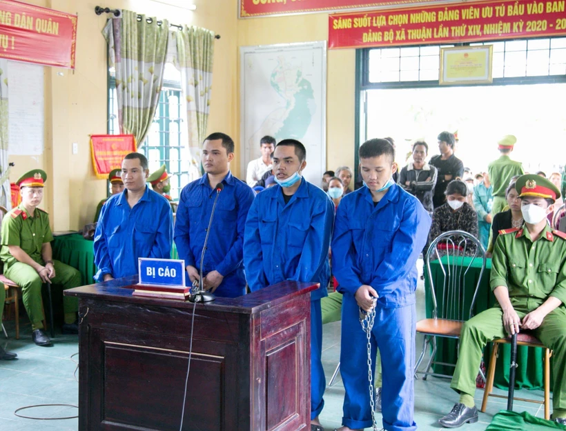 Tuyên án tử hình ba đối tượng vận chuyển trái phép hơn 6kg ma túy