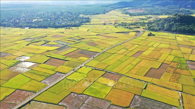 Thúc đẩy tích tụ, tập trung đất nông nghiệp tại Tây Nguyên