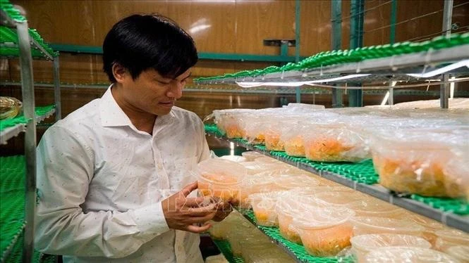 Thanh Hóa có thêm 38 sản phẩm được xếp hạng OCOP