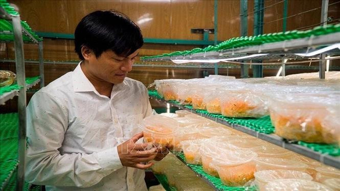 Thanh Hóa có thêm 38 sản phẩm được xếp hạng OCOP