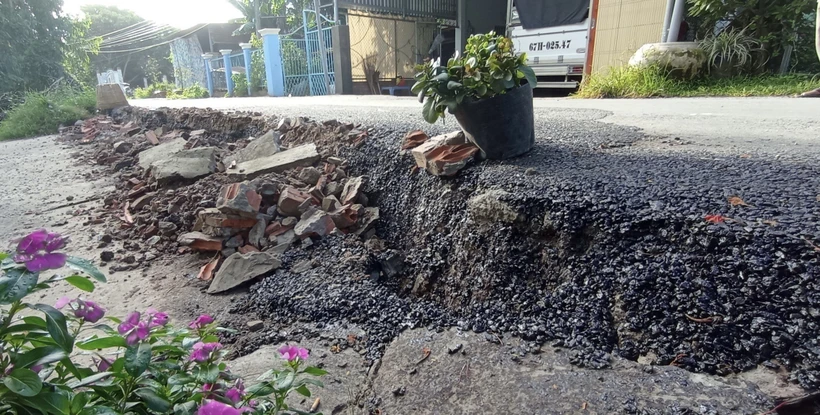Liên tục sạt lở trên địa bàn huyện Chợ Mới, An Giang