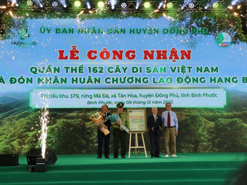 Lễ công nhận quần thể cây di sản. Ảnh: TTXVN phát