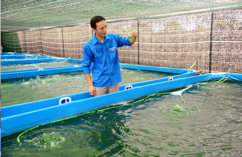 Ninh Bình: Tiếp sức cho thanh niên phát triển kinh tế