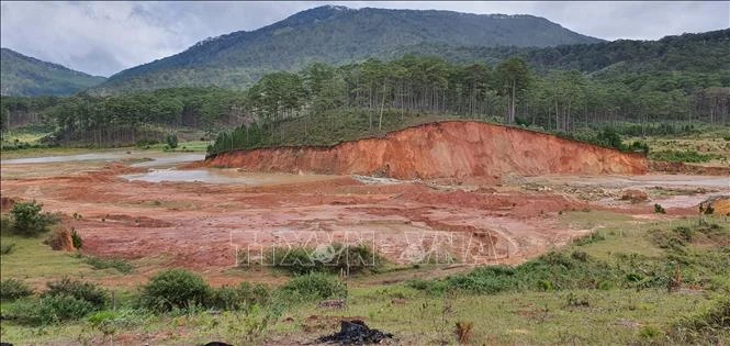 Tăng cường hệ sinh thái, cải thiện sinh kế cho nhóm người dân tộc thiểu số và phụ nữ tại Lâm Đồng
