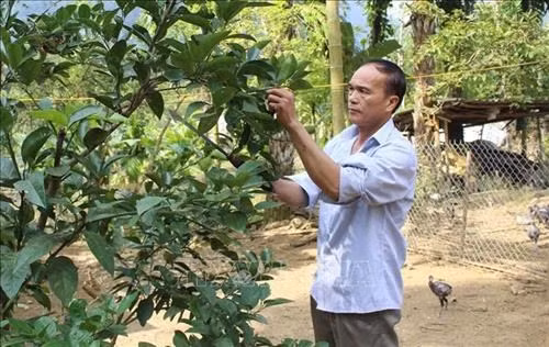 Huyện miền núi Quan Hóa quyết tâm thoát nghèo
