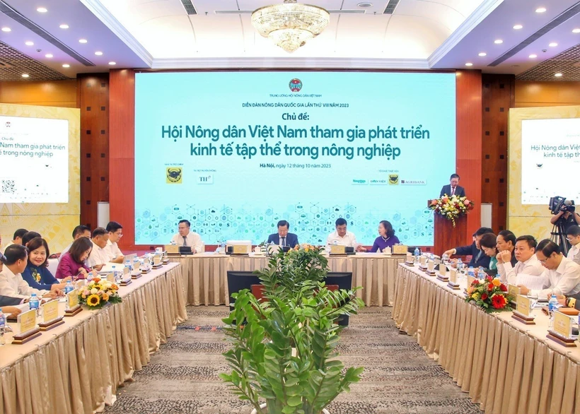 Nâng cao trình độ, năng lực các chủ thể tham gia kinh tế tập thể, hợp tác xã