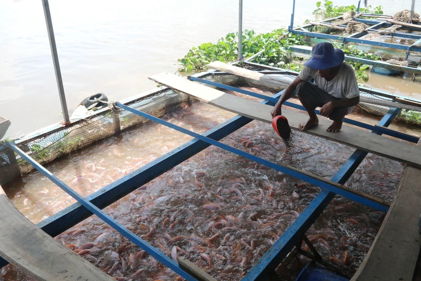Phát triển thủy sản vùng ngập lũ đầu nguồn sông Tiền 