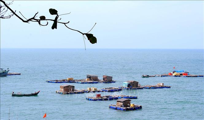 Chính sách kinh tế mới có hiệu lực từ tháng 12/2021