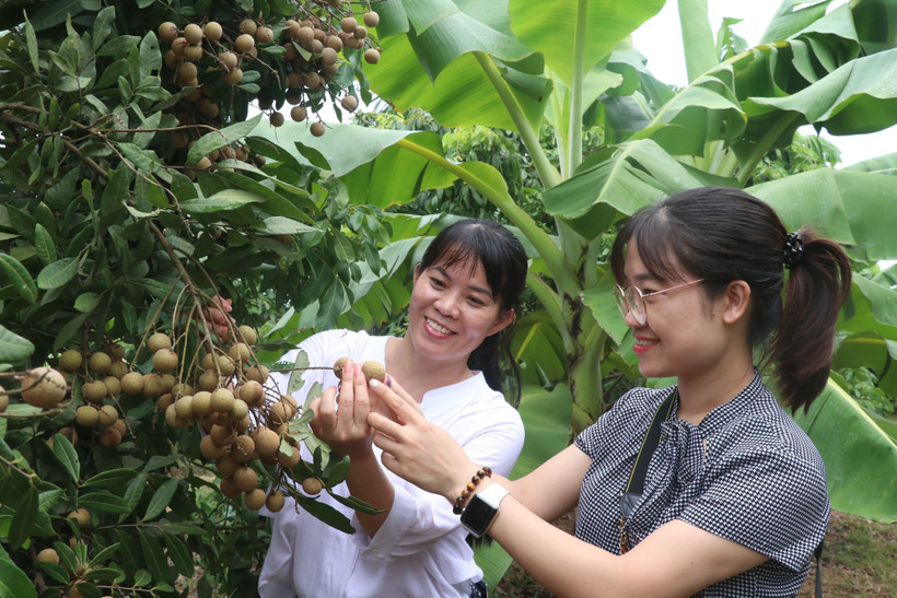 Hưng Yên phát triển tiềm năng du lịch nông thôn