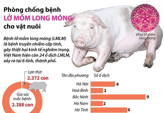 Phê duyệt Chương trình Quốc gia phòng, chống bệnh lở mồm long móng, giai đoạn 2021-2025
