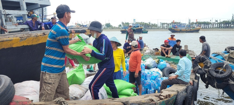 Ngư dân vẫn thua lỗ dù đang chính vụ cá Nam