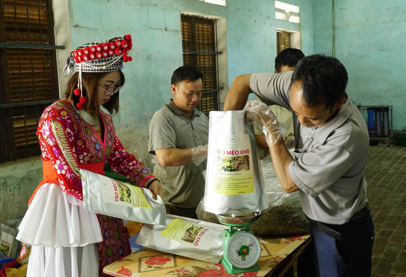 Xây dựng thương hiệu cho nông sản: Nâng cao sức cạnh tranh của sản phẩm