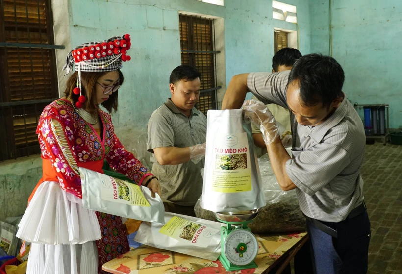 Xây dựng thương hiệu cho nông sản: Nâng cao sức cạnh tranh của sản phẩm