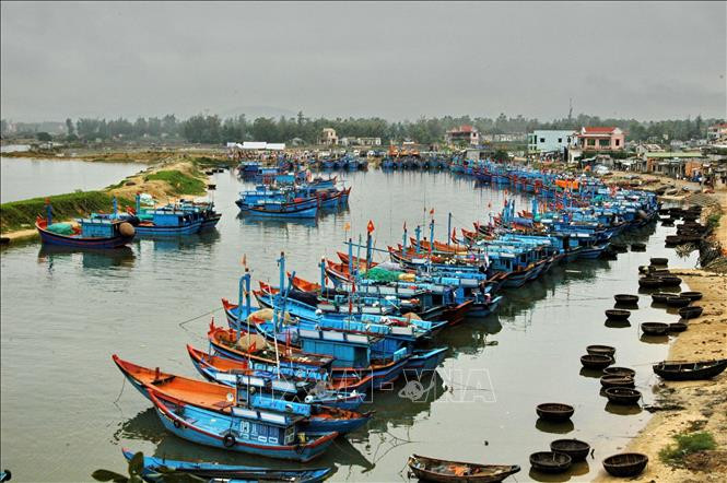 Ứng phó với bão số 7: Quảng Ngãi hướng dẫn cho hai tàu ở vùng nguy hiểm vào nơi an toàn
