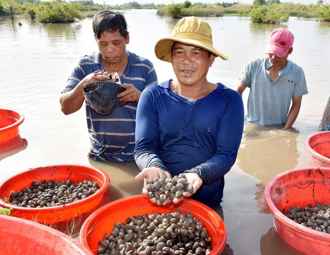 Thu nhập hàng trăm triệu đồng từ mô hình "con tôm ôm sò huyết"
