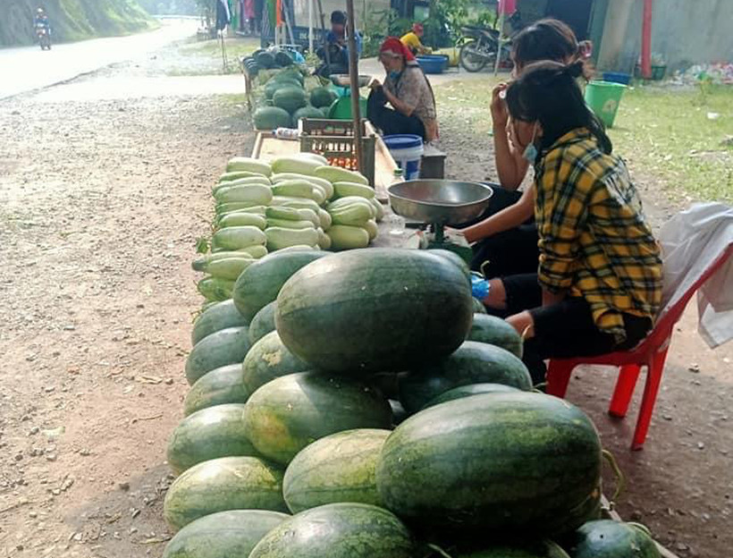 Phủ xanh đất đồi kém hiệu quả ở Mường Khương