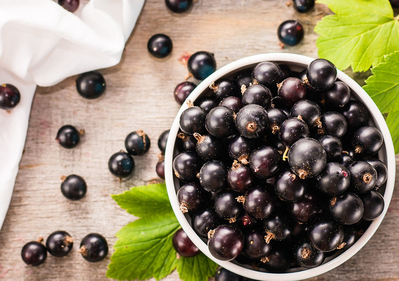 Nghiên cứu thuốc điều trị COVID-19 từ quả acai berry 