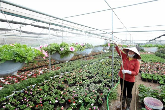 Quy định kéo dài thời hạn thực hiện hạng đất tính thuế sử dụng đất nông nghiệp