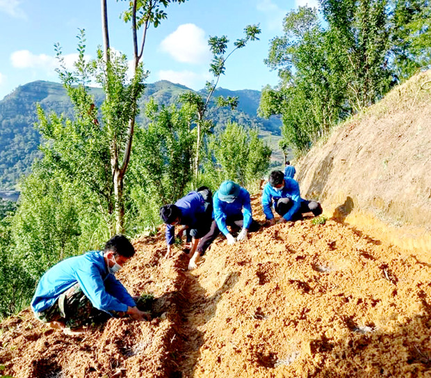Gây quỹ trồng mới 1 triệu cây xanh khôi phục rừng đầu nguồn Mèo Vạc