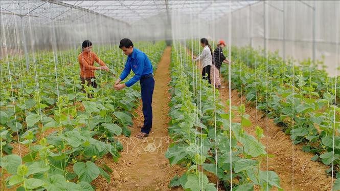 Anh Lương Ngọc Lai làm giàu nhờ mô hình trang trại xanh ba sạch