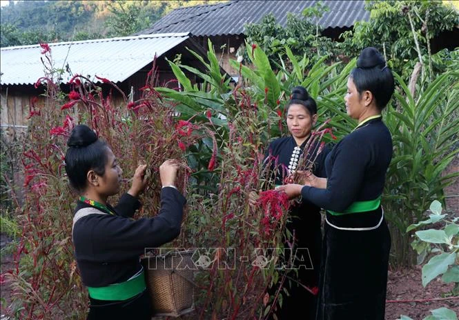 Tạo điều kiện tốt nhất để đồng bào dân tộc rất ít người phát triển