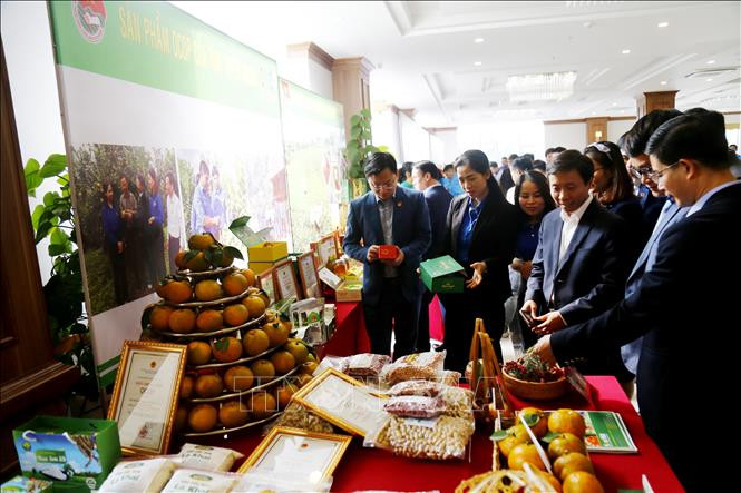 Giải pháp đẩy mạnh khởi nghiệp trong thanh niên gắn với Chương trình mỗi xã một sản phẩm (OCOP)
